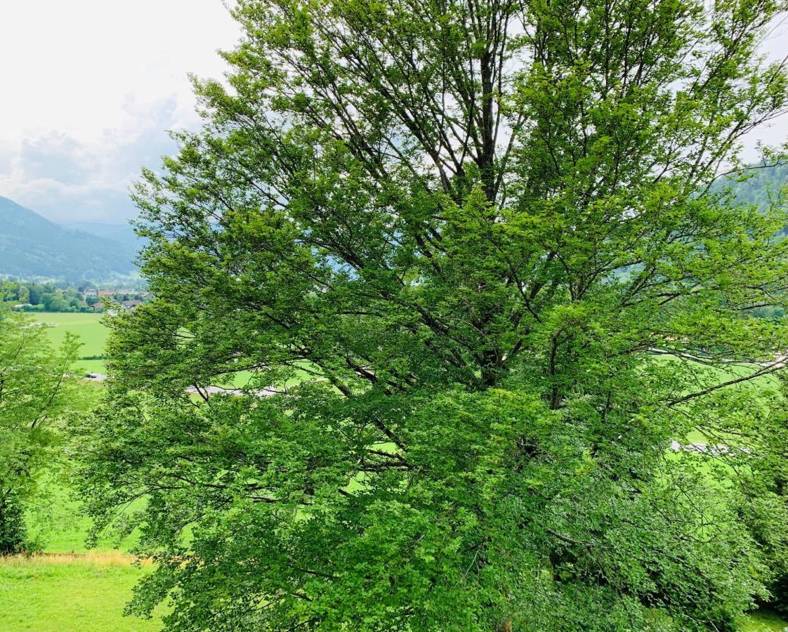 Ferienwohnung Buchenblick Strobl Exterior foto
